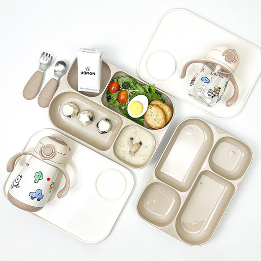 Daily Food Tray with Lid